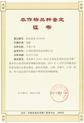 辛香8號證書