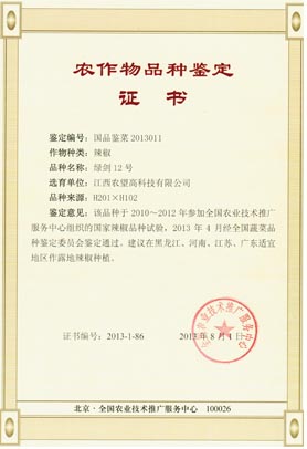 綠劍12號證書