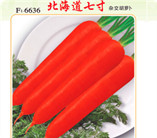 2014年秋季胡蘿卜種子預(yù)售啟動(dòng)——文興胡蘿卜優(yōu)秀品種推介