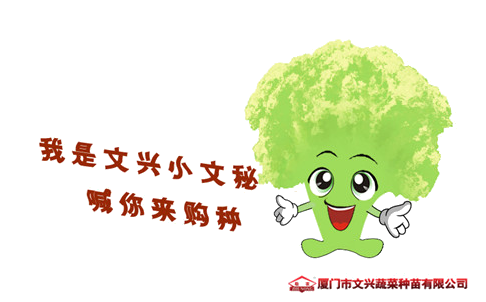 蔬菜種子網(wǎng)上購種惠農(nóng)新制度——文興種苗金秋推出阿里會員制度