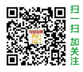 美青松65天 好種子也有你一票【年度最受矚目品種之花菜】