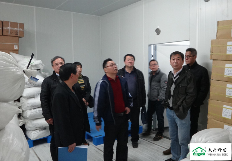 文興種苗公司種子工程項(xiàng)目完成驗(yàn)收