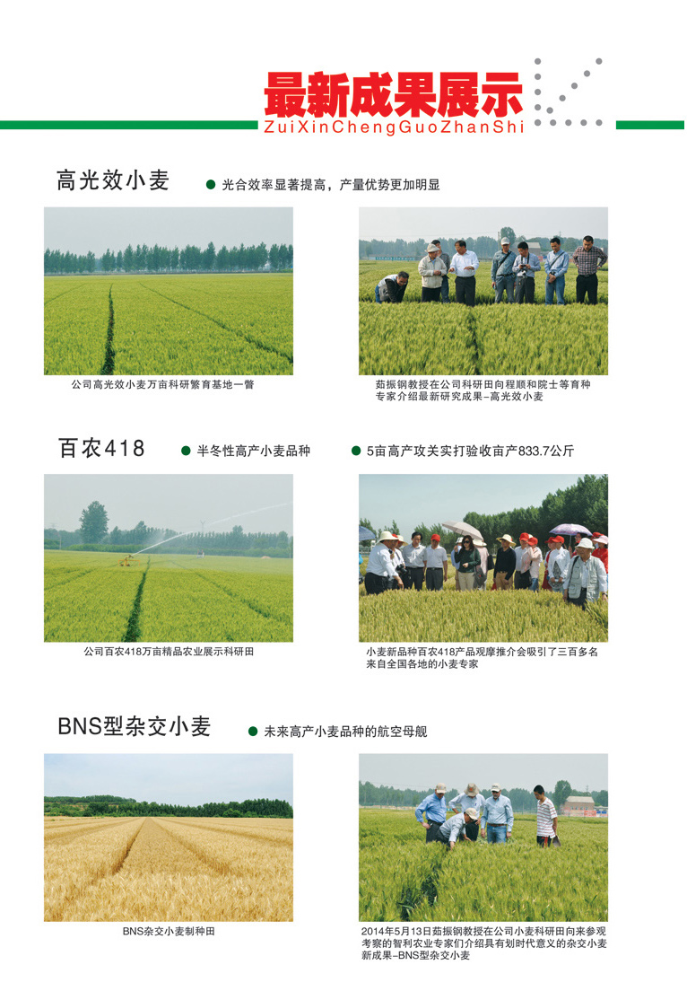 新品種展示