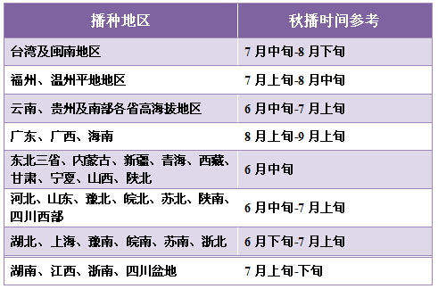 青梗松花菜55天播種時間圖片正能松55日