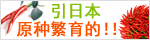 河南省英邦國際種子有限公司