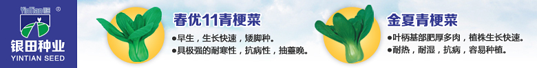 長沙市銀田蔬菜種子實業(yè)有限公司