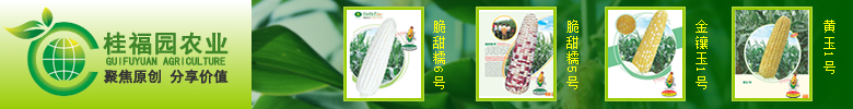 南寧市桂福園農(nóng)業(yè)有限公司