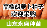 青島永盛種苗