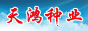 天鴻種業(yè)