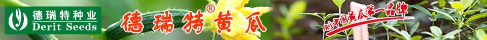 天津德瑞特種業(yè)