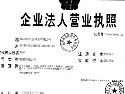 點擊查看大圖