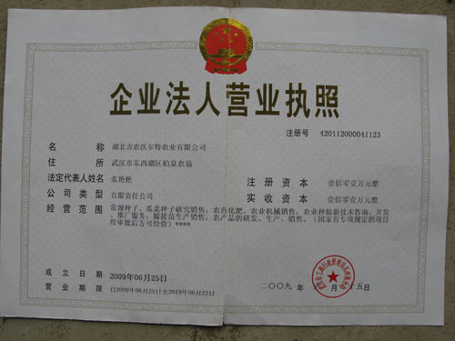 點擊查看大圖