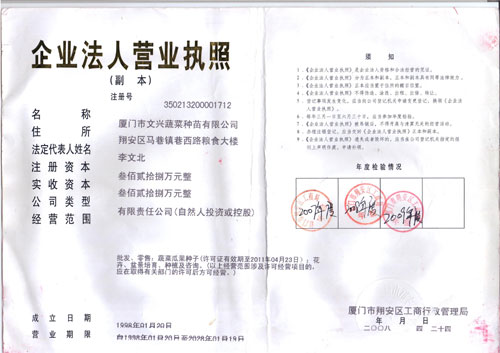 點擊查看大圖