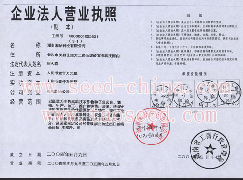 點擊查看大圖