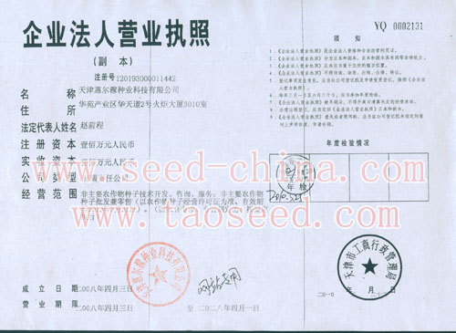點擊查看大圖