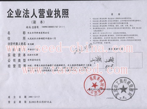點(diǎn)擊查看大圖