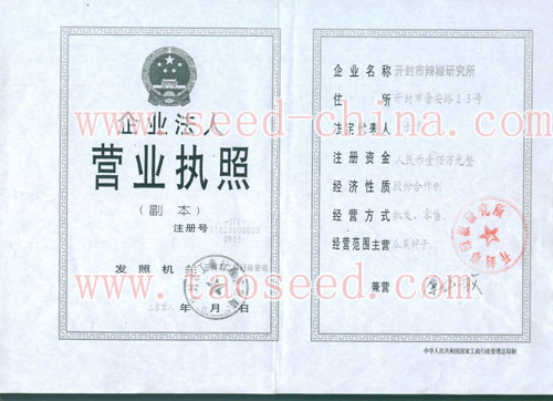 點擊查看大圖