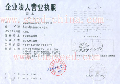 點擊查看大圖