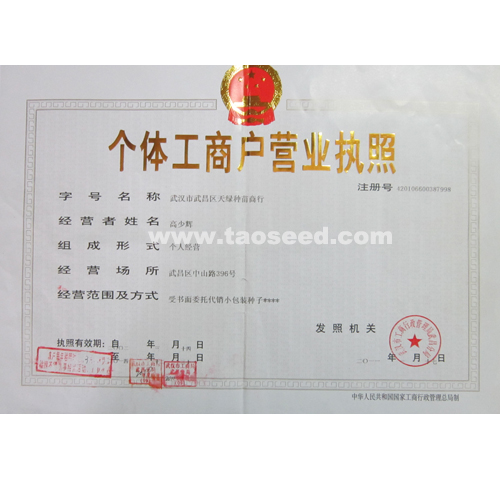 點擊查看大圖