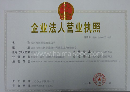 點(diǎn)擊查看大圖