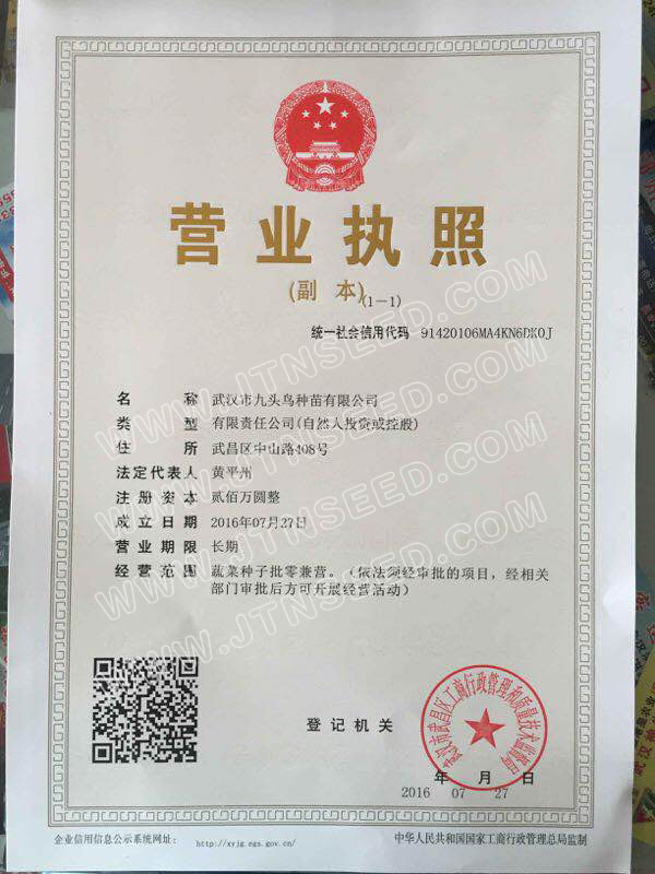 點(diǎn)擊查看大圖