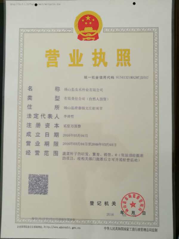 點(diǎn)擊查看大圖