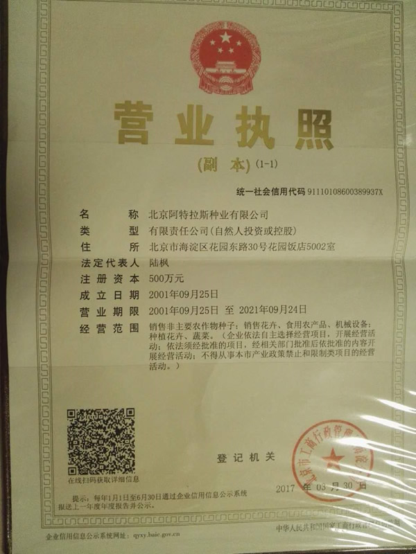 點擊查看大圖