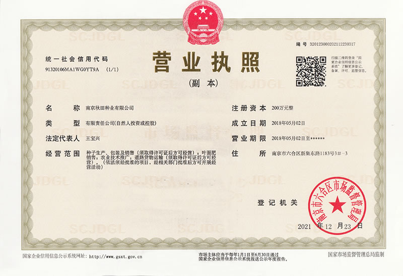 點擊查看大圖