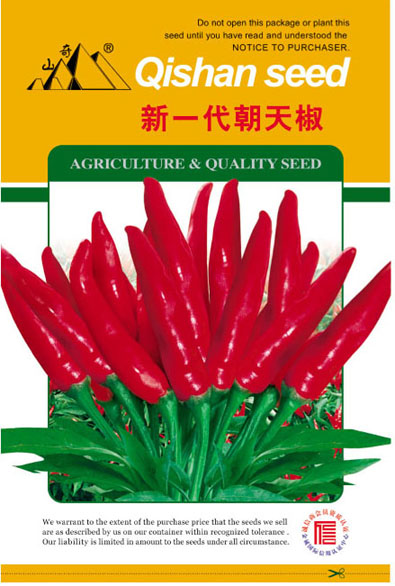 辣椒致富新項(xiàng)目新一代朝天椒種