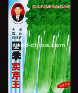 四季實(shí)芹王