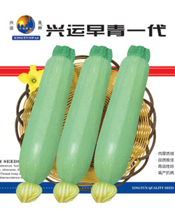 早青一代--葫蘆