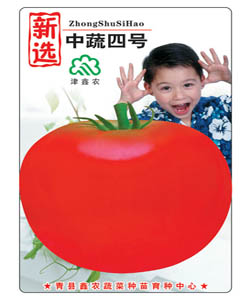 中蔬四號番茄--粉果