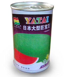 日本大型巨寶王