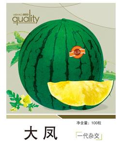 大鳳