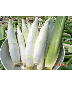 鄂茭二號
