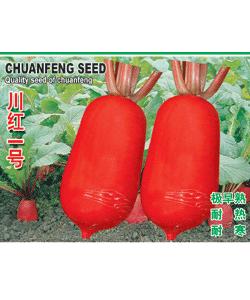 川紅1號蘿卜