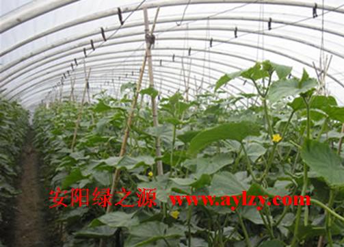 大棚骨架機(jī)