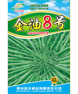 金油8號