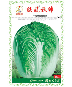 膠蔬秋帥