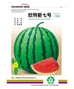 欣特欣七號