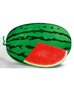 西農(nóng)八號