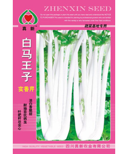 白馬王子