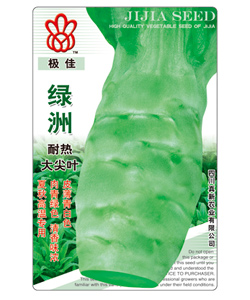綠洲
