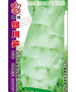 四川筍 特耐熱大尖葉