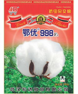 鄂優(yōu)998抗蟲雜交棉