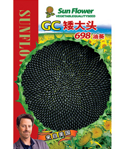 GC矮大頭698油葵