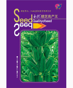 玉抗贛芝高產(chǎn)王
