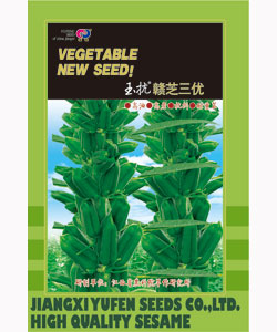 玉抗贛芝三優(yōu)