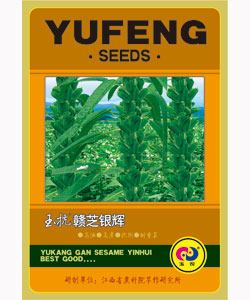 玉抗贛芝銀輝
