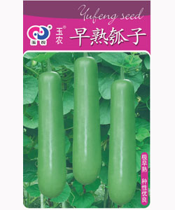 玉農(nóng)早熟瓠子 